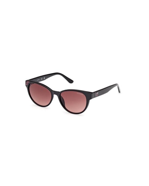 Guess Black Gu00128 01F Sunglasses Injected Cat Eye Normal