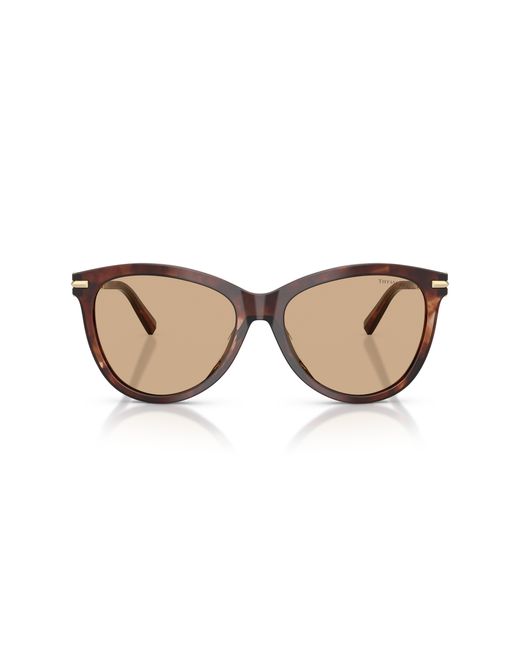 Tiffany & Co Black Tf4258Bu 8421/8 Sunglasses Acetate Pantos Normal