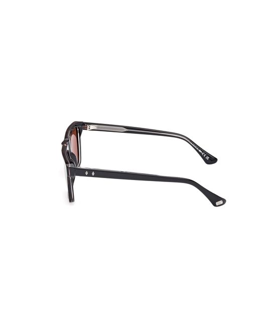 Web Black We0379 56E Sunglasses Acetate Squared Normal for men