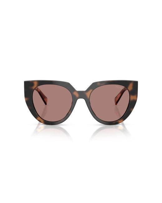 Prada Black Pr 14Ws 23A60B Sunglasses Acetate Cat Eye Normal