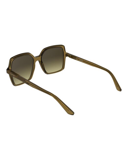 Calvin Klein Black Ck25537S 209 Sunglasses Bio-Injected Butterfly Normal