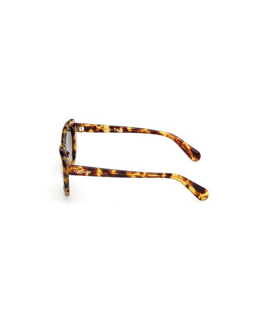MAX&Co. Black Mo0155 53P Sunglasses Acetate Butterfly Normal