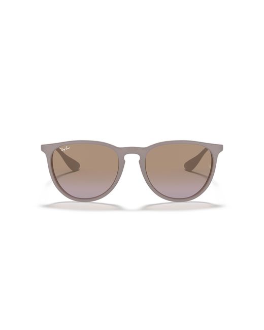 Ray-Ban Black Rb4171 Erika Round Sunglasses