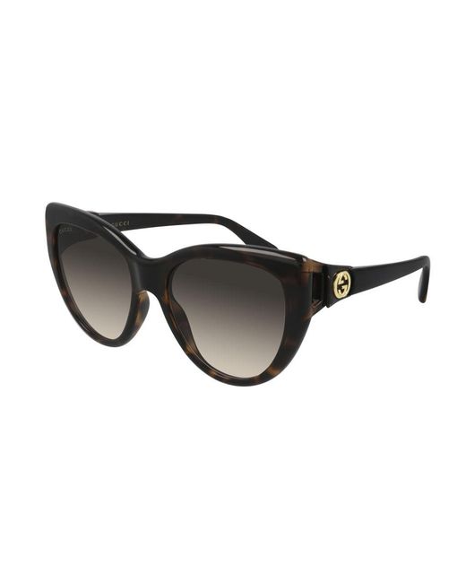 Gucci Black Gg0877S 002 Sunglasses Injected Cat Eye Normal Shaded