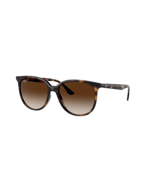 Ray-Ban Black Ray