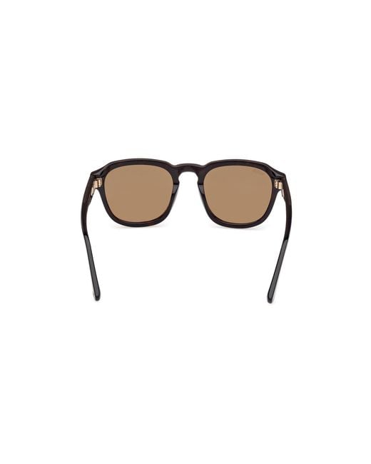Web Black We0370 56J Sunglasses Acetate Round Normal for men