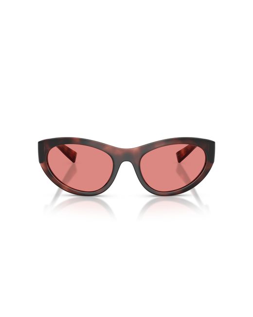 Dolce & Gabbana Black Dg6207 347684 Sunglasses Injected Cat Eye Normal