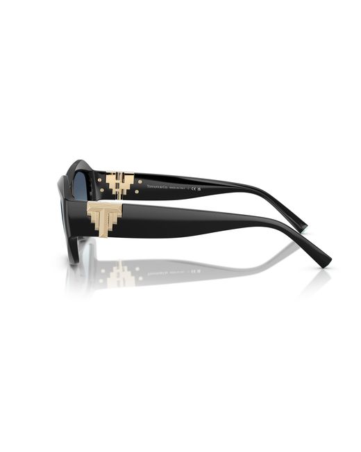 Tiffany & Co Black Tf4233U 80019S Sunglasses Injected Pillow Normal Shaded