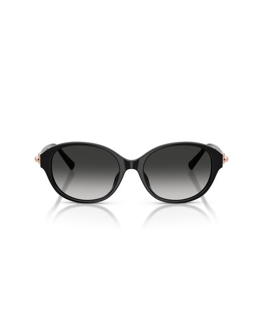 Tiffany & Co Black Tf4263D 80013C Sunglasses Acetate Round Normal Nuanced