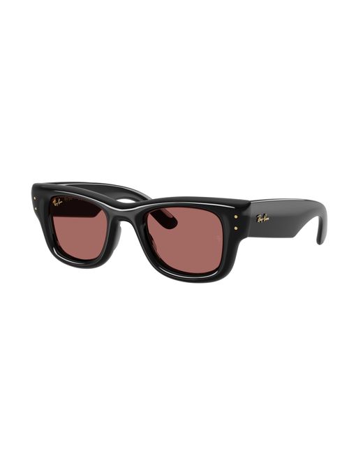 Ray-Ban Black Ray