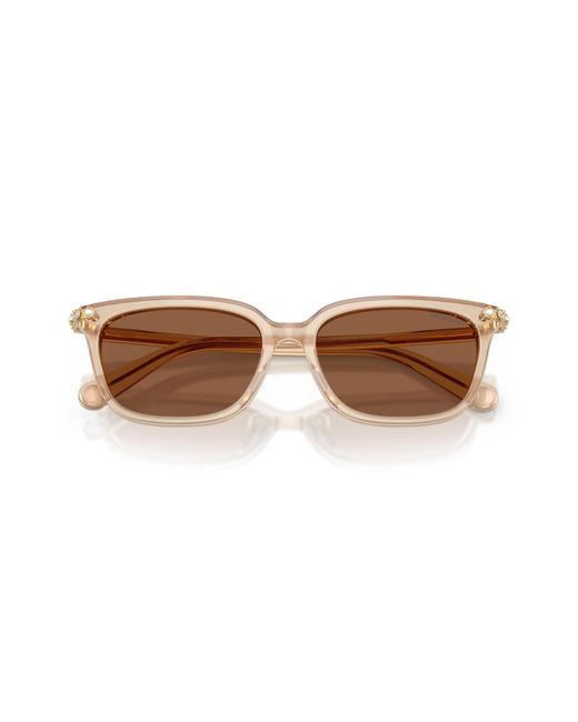Swarovski Black Sk6064D 1034Ok Sunglasses Acetate Bronze Pillow Normal