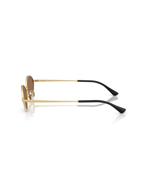Ray-Ban Black Ray