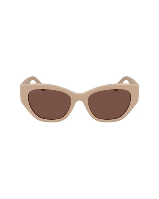 Lacoste Black L6047S 264 Sunglasses Acetate Squared Normal
