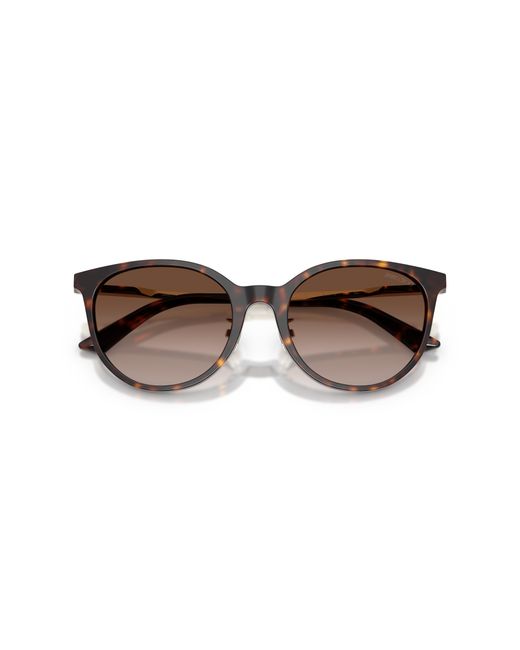 Jimmy Choo Black Jc5056Jd 500213 Sunglasses Acetate Pantos Normal Shaded