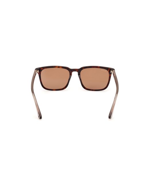 Web Black We0369 56E Sunglasses Acetate Squared Normal for men