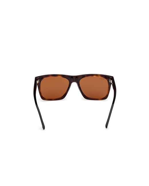 Web Black We0350 55E Sunglasses Acetate Squared Normal for men