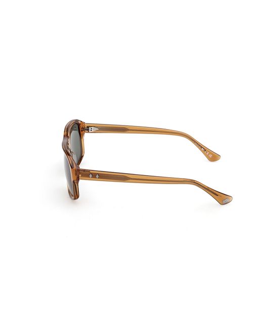 Web Black We0393 39N Sunglasses Acetate Squared Normal for men