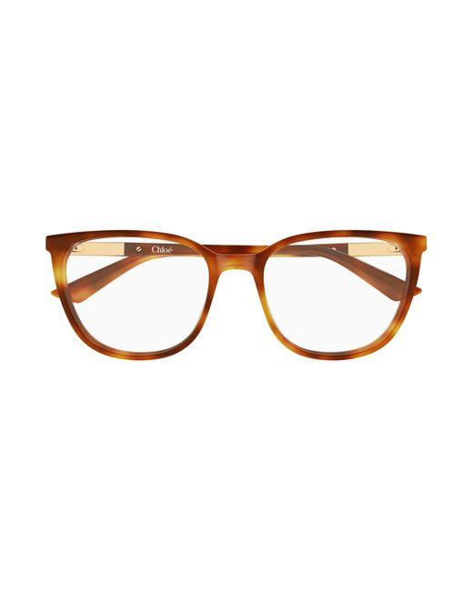 Chloé Black Ch0370Ol 002 Optical Frames Acetate Transparent Cat Eye