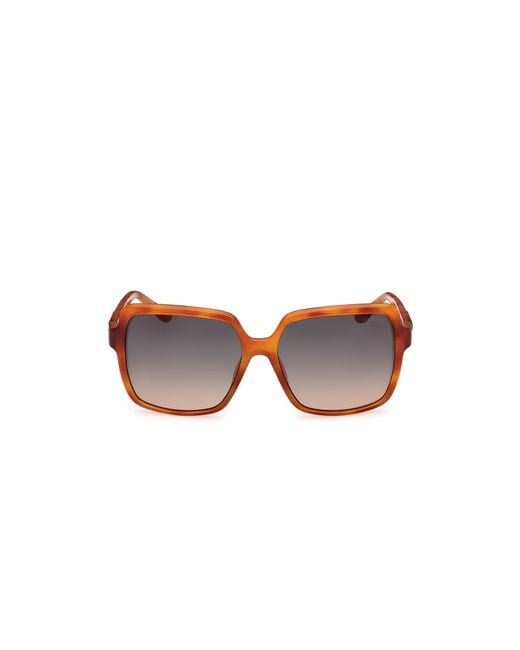 Guess Black Gu00157 53P Sunglasses Injected Squared Normal