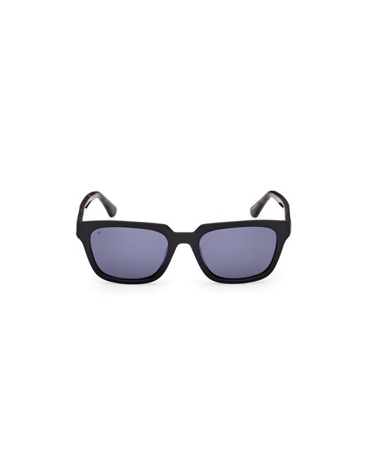 Web Black We0391 05V Sunglasses Acetate Squared Normal for men