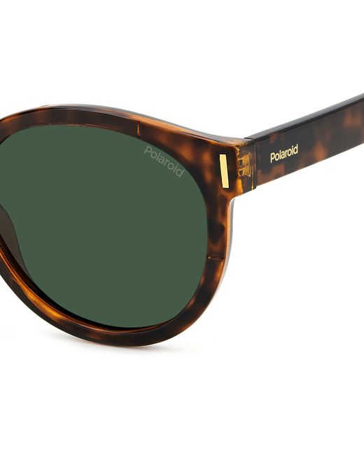 Polaroid Green Pld 6185/S 086/Uc Sunglasses Plastic Round Polarized
