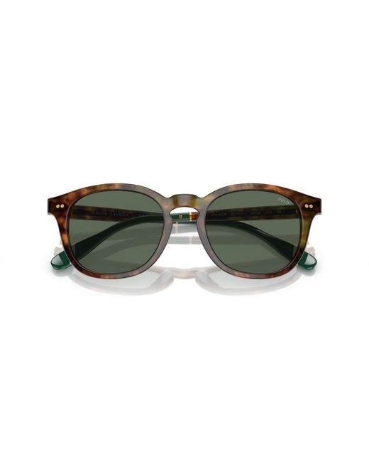 Polo Ralph Lauren Black Ph4206 501771 Sunglasses Acetate Pantos Normal for men