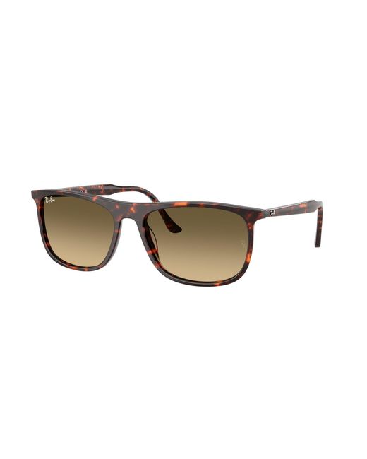 Ray-Ban Black Ray