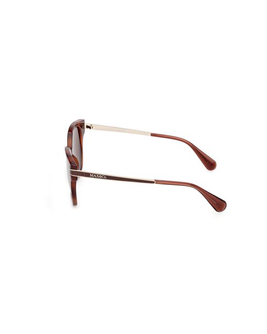 MAX&Co. Black Mo0121 52E Sunglasses Injected Round Normal