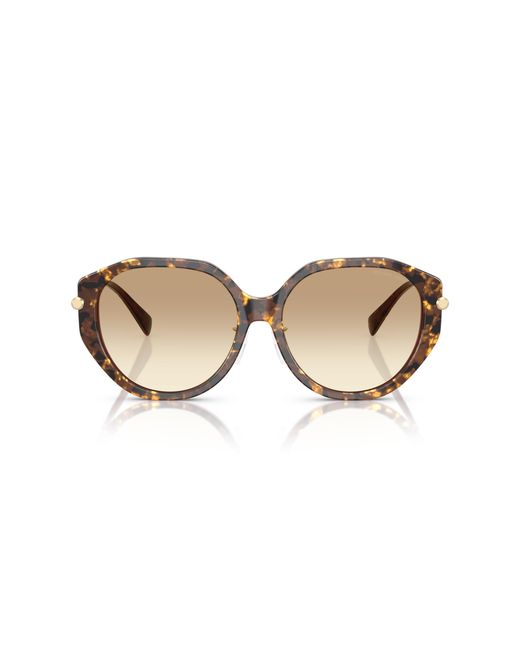 Michael Kors Black Mk2248D Jinan 401613 Sunglasses Acetate Geometric Normal Shaded