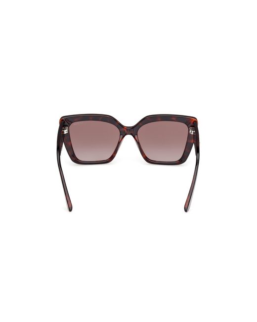 Guess Black Gu00162 52F Sunglasses Injected Marrone Butterfly Normal Sfumato