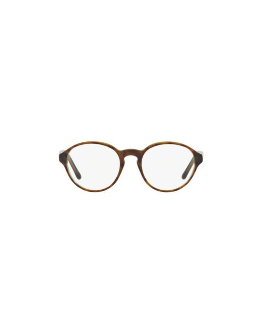 Sferoflex Black Sf1146 C526 Optical Frames Plastic Pantos for men