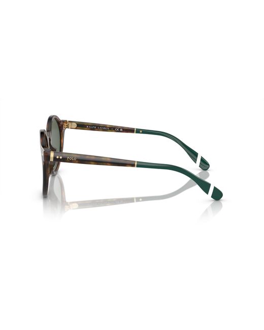 Polo Ralph Lauren Green Ph4204U 501771 Sunglasses Acetate Pantos Normal for men
