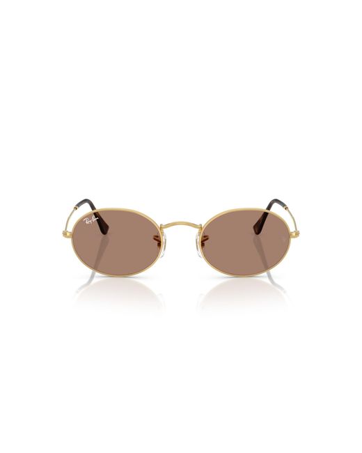 Ray-Ban Black Ray