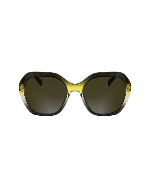 Longchamp Black Lo759S 019 Sunglasses Acetate Squared Normal
