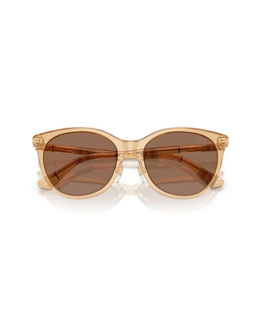 Burberry Black Be4464D 416773 Sunglasses Acetate Pantos Normal
