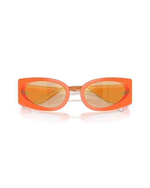 DIESEL Black Dl2014U 20477J Sunglasses Acetate Cat Eye Normal