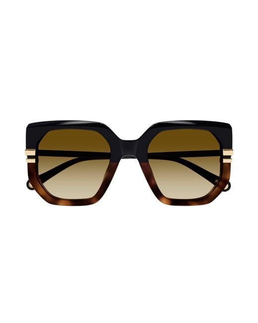Chloé Black Ch0240S 003 Sunglasses Acetate Butterfly