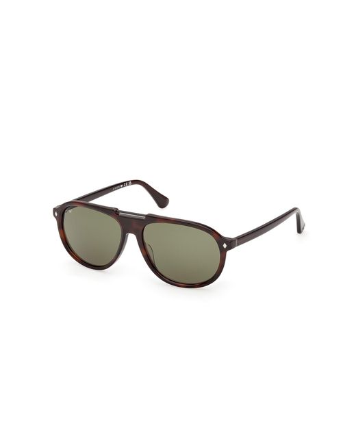 Web Black We0394 56N Sunglasses Acetate Pilot Normal for men