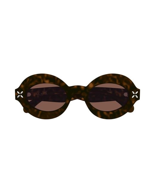 Alaïa Black Aa0059S 003 Sunglasses Acetate Pantos