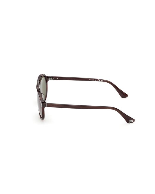 Web Black We0394 56N Sunglasses Acetate Pilot Normal for men