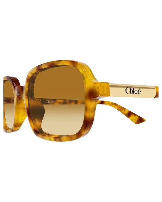 Chloé Black Ch0363S 004 Sunglasses Acetate Squared