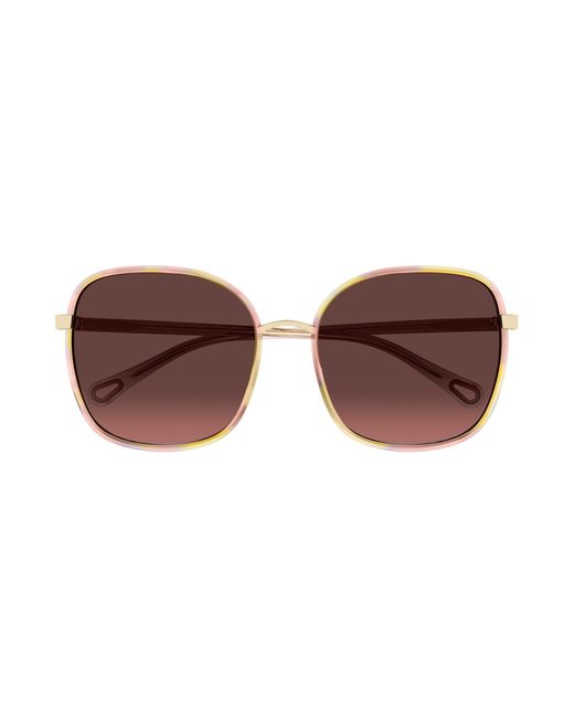 Chloé Black Ch0031S 013 Sunglasses Bio-Inject Squared