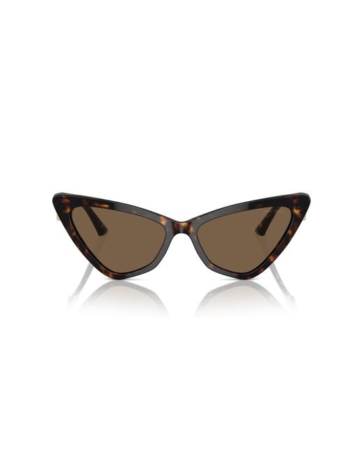 Jimmy Choo Black Jc5008 500273 Sunglasses Acetate Cat Eye Normal