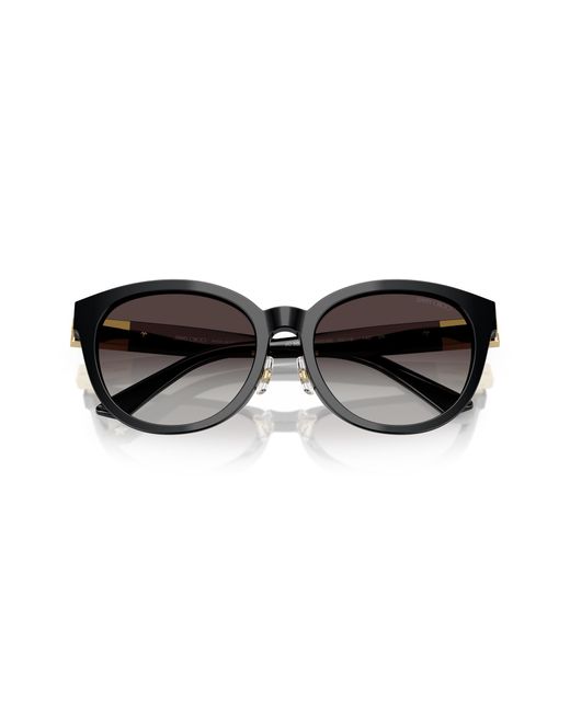 Jimmy Choo Black Jc5032D 500086 Sunglasses Acetate Pantos Normal Shaded
