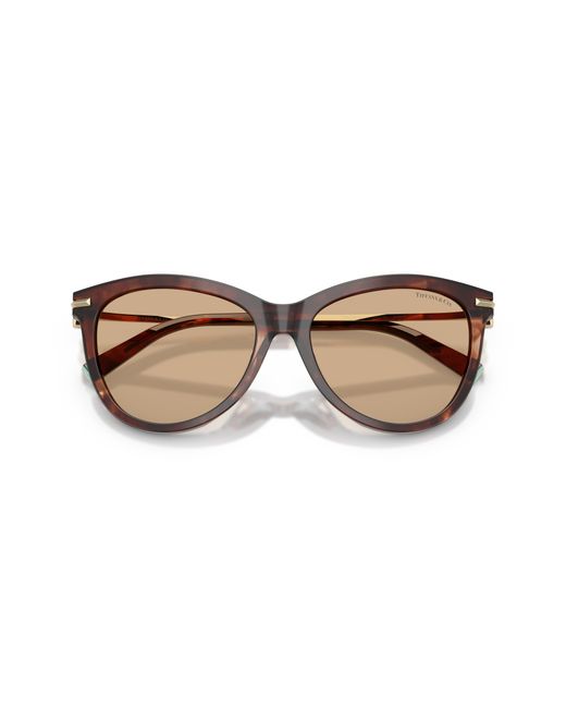 Tiffany & Co Black Tf4258Bu 8421/8 Sunglasses Acetate Pantos Normal