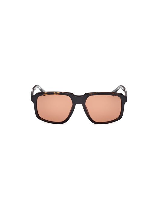 Web Black We0378 56J Sunglasses Acetate Squared Normal for men