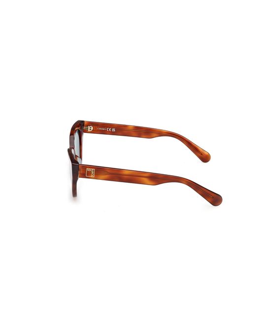 MAX&Co. Black Mo0127 53N Sunglasses Acetate Cat Eye Normal