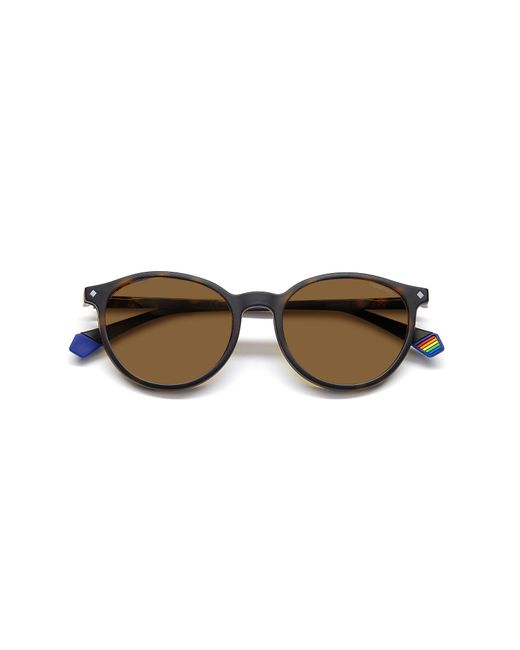 Polaroid Black Pld 6137/Cs 086/Sp Sunglasses Plastic Copper Round Polarized