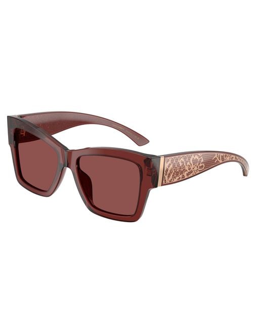 Dolce & Gabbana Black Dg4493 304575 Sunglasses Acetate Squared Normal