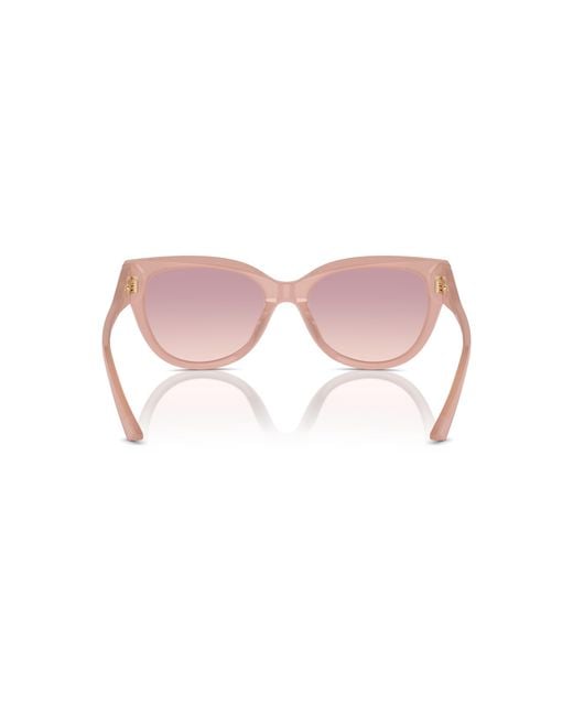 Jimmy Choo Black Jc5018U 502768 Sunglasses Acetate Pantos Normal Shaded